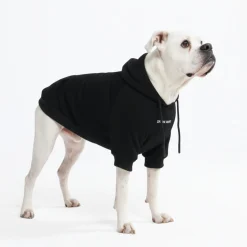 Essential Dog Hoodie - Black