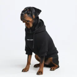 Essential Dog Hoodie - Black