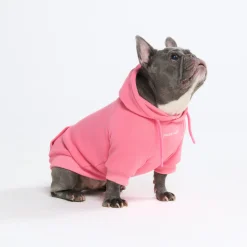Essential Dog Hoodie - Blush Pink