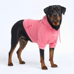 Essential Dog Hoodie - Blush Pink