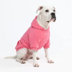 Essential Dog Hoodie - Blush Pink
