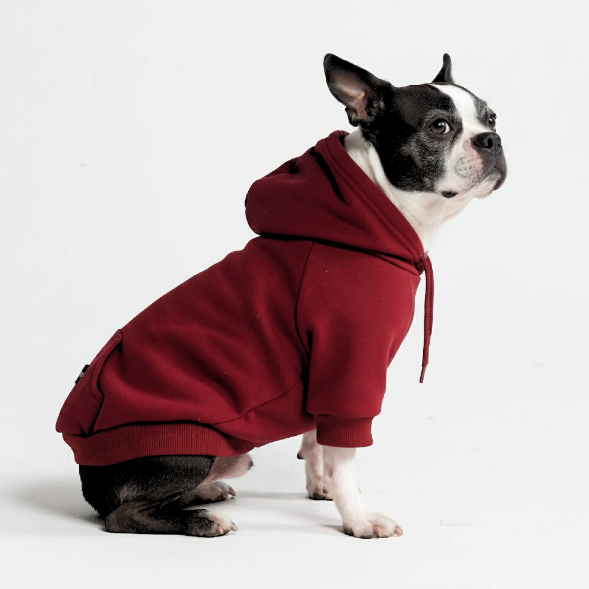 Essential Dog Hoodie - Burgundy