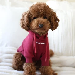 Essential Dog Hoodie - Burgundy