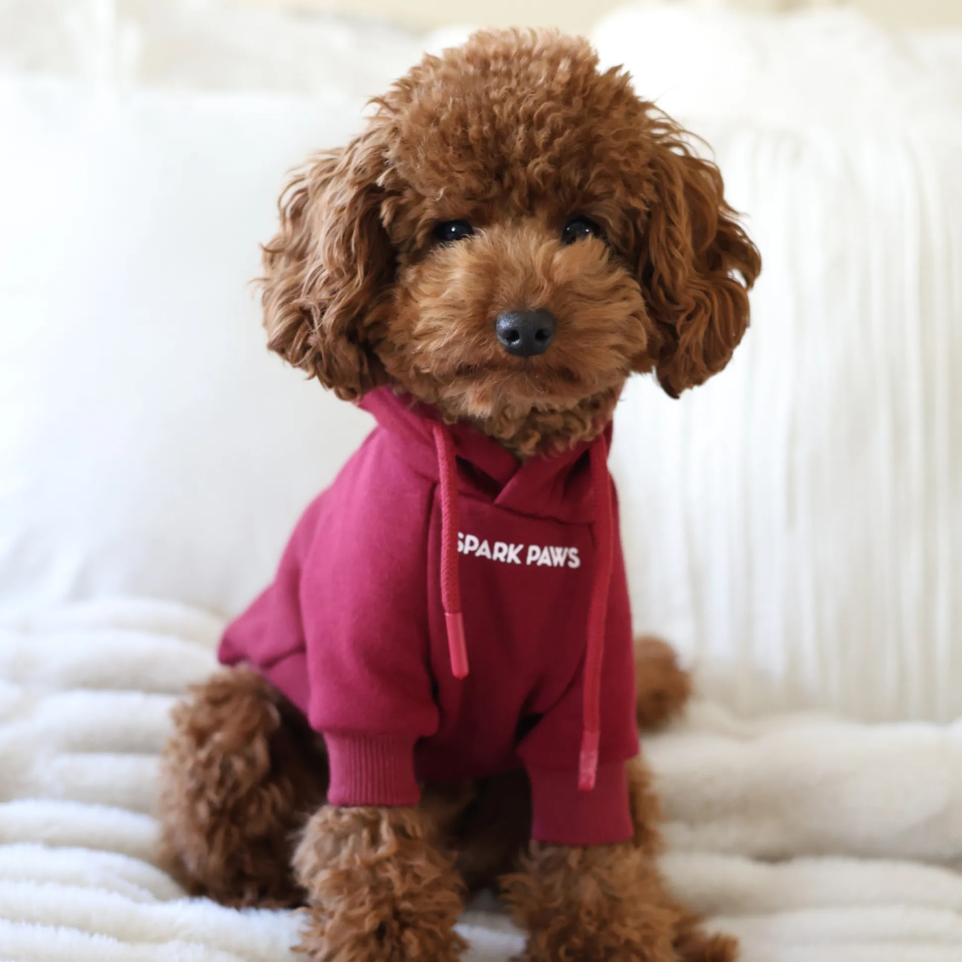 Essential Dog Hoodie - Burgundy