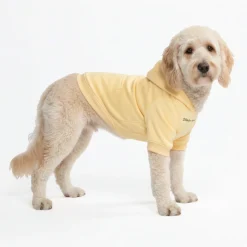 Essential Dog Hoodie - Buttercream