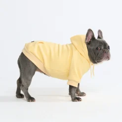 Essential Dog Hoodie - Buttercream
