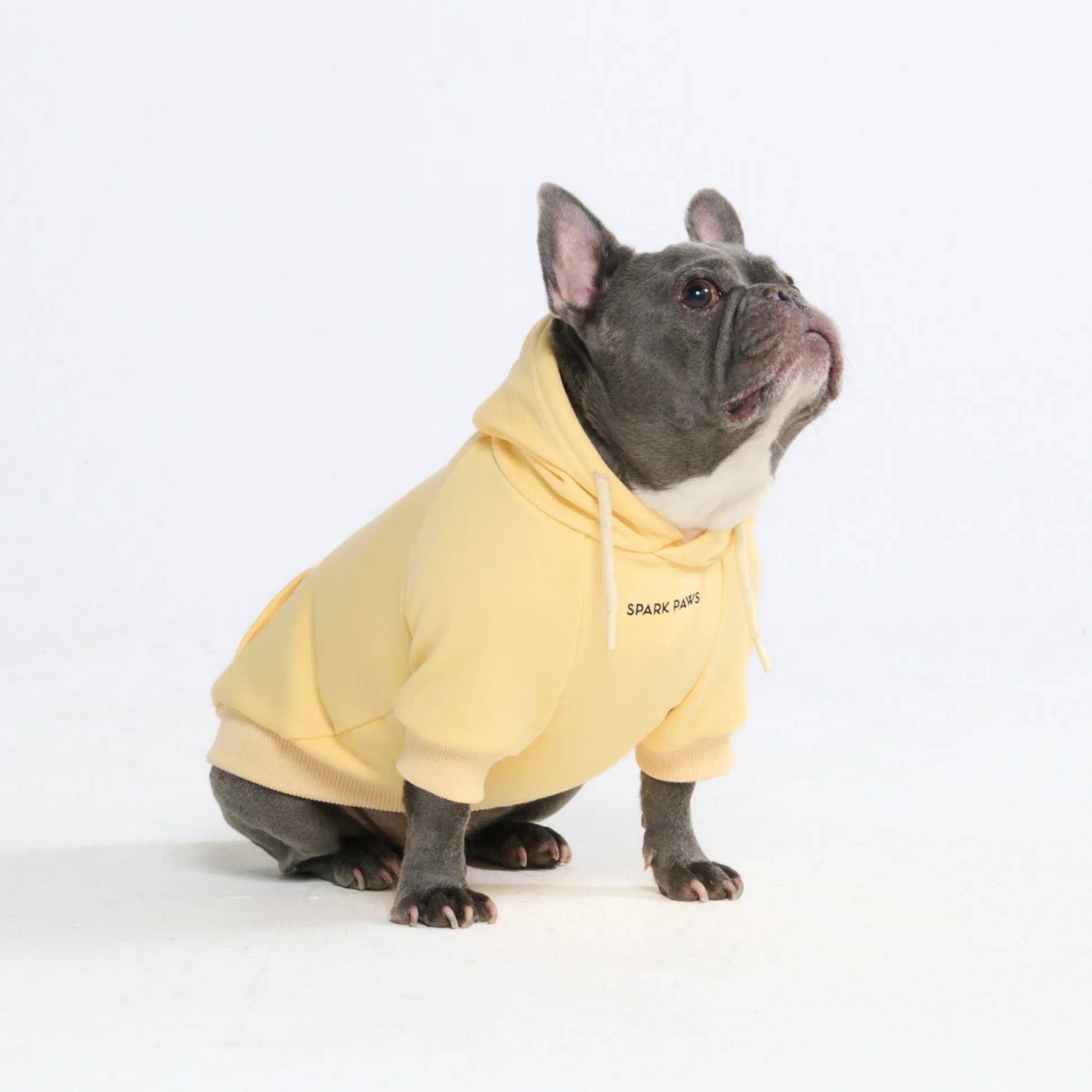 Essential Dog Hoodie - Buttercream