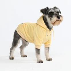 Essential Dog Hoodie - Buttercream
