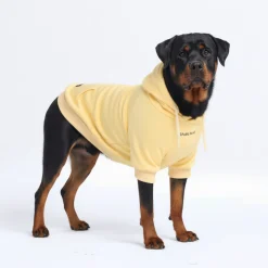 Essential Dog Hoodie - Buttercream