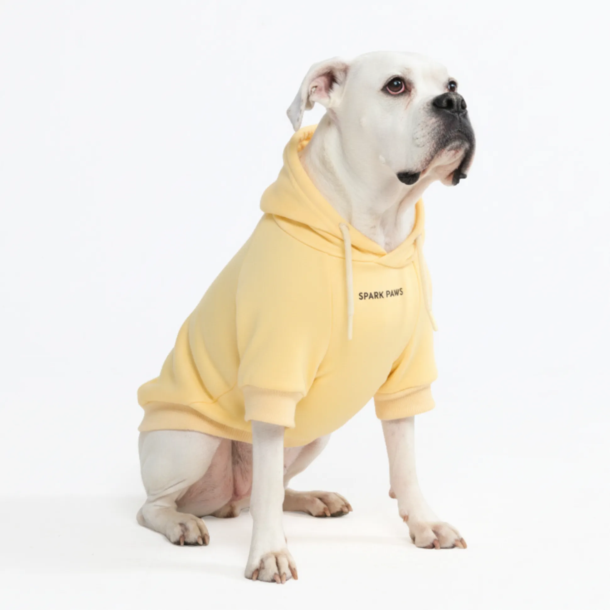 Essential Dog Hoodie - Buttercream