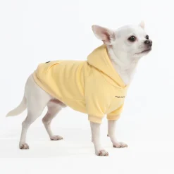 Essential Dog Hoodie - Buttercream