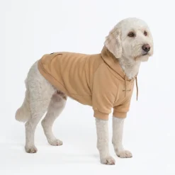 Essential Dog Hoodie - Caramel