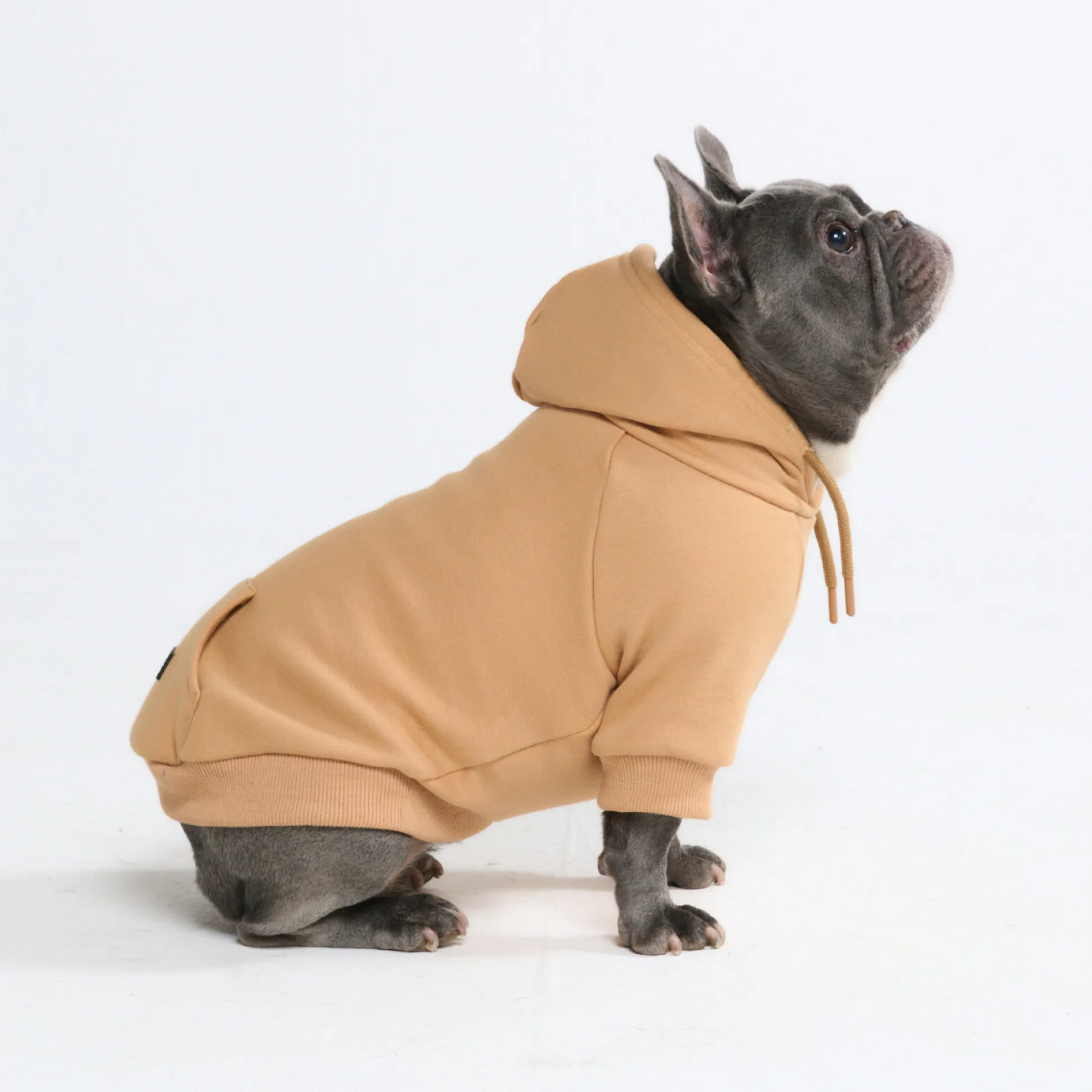 Essential Dog Hoodie - Caramel