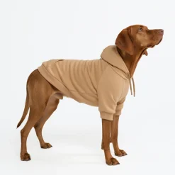 Essential Dog Hoodie - Caramel