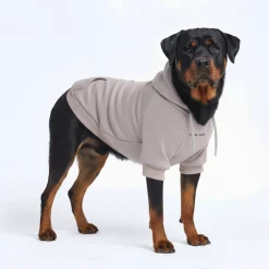 Essential Dog Hoodie - Clay