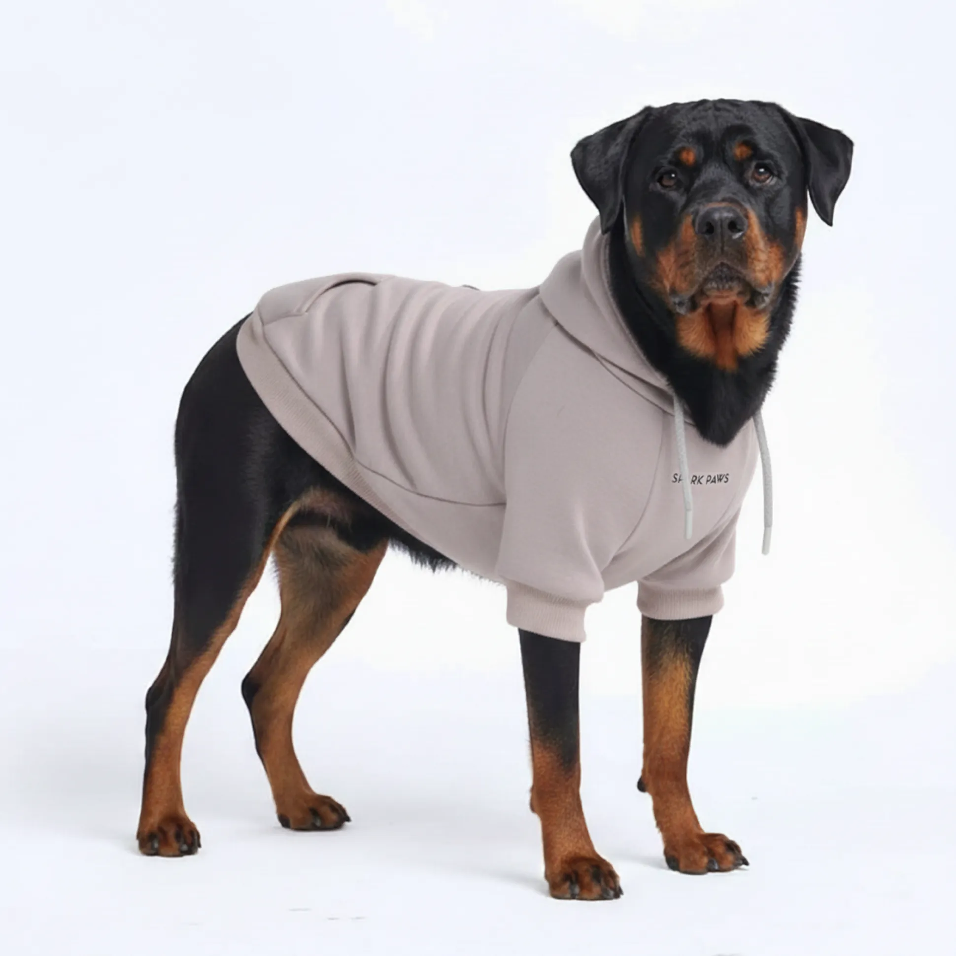 Essential Dog Hoodie - Clay