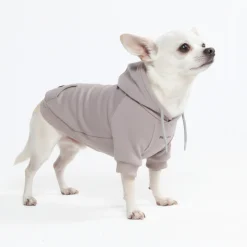 Essential Dog Hoodie - Clay