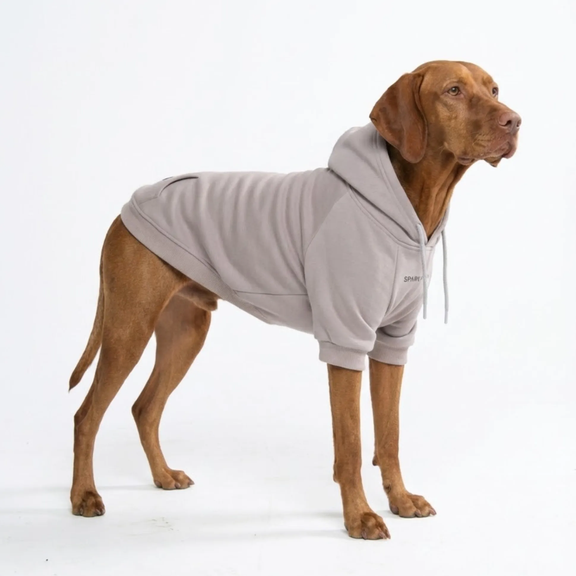 Essential Dog Hoodie - Clay