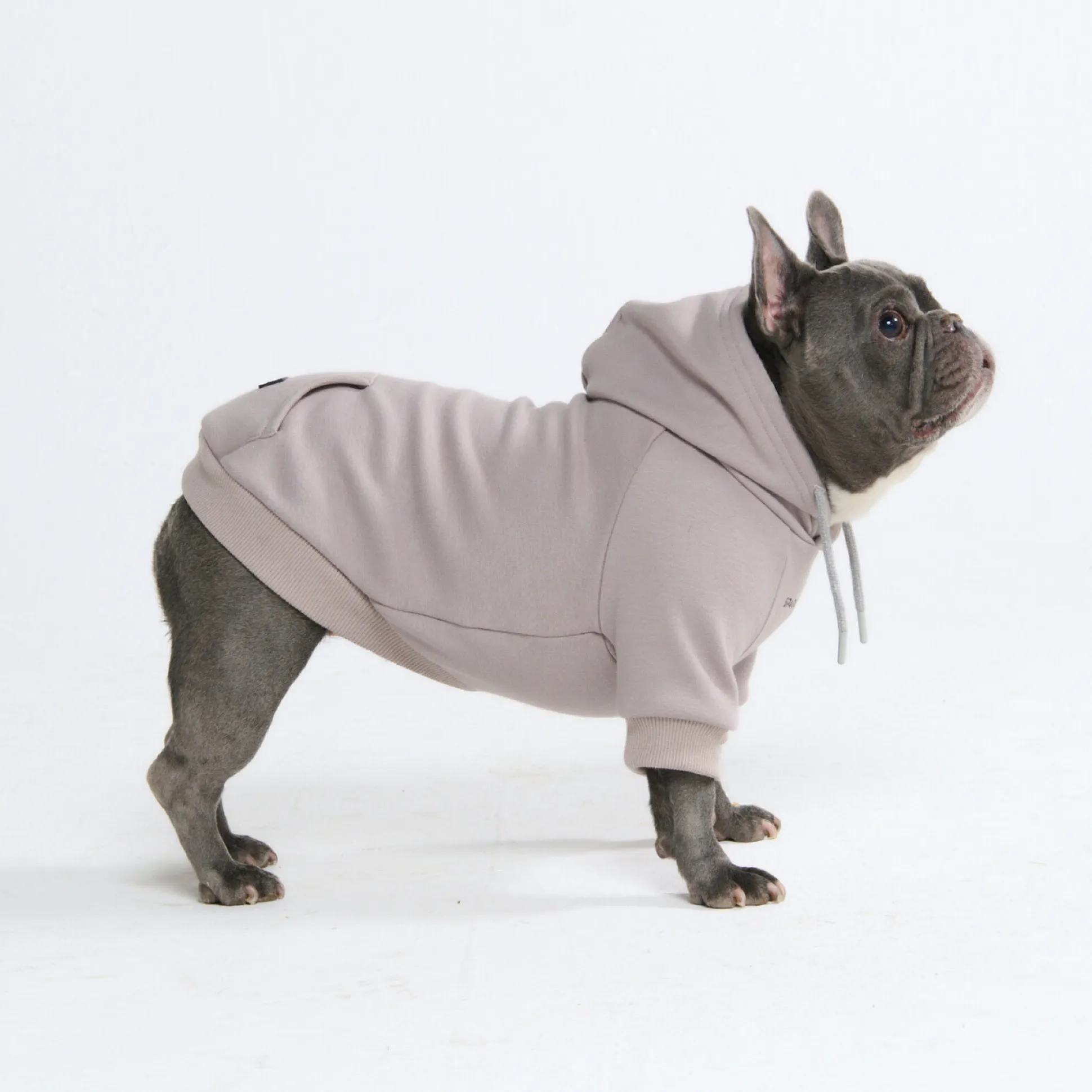 Essential Dog Hoodie - Clay