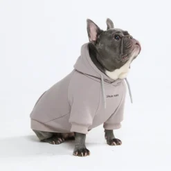 Essential Dog Hoodie - Clay