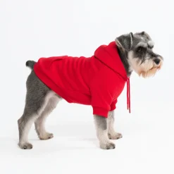 Essential Dog Hoodie - Crimson Red