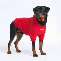 Essential Dog Hoodie - Crimson Red
