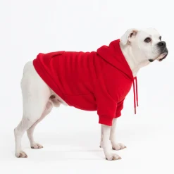 Essential Dog Hoodie - Crimson Red