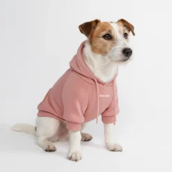 Essential Dog Hoodie - Dusty Pink