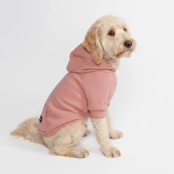 Essential Dog Hoodie - Dusty Pink