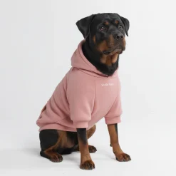 Essential Dog Hoodie - Dusty Pink