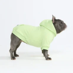 Essential Dog Hoodie - Honey Dew