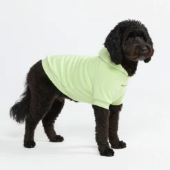 Essential Dog Hoodie - Honey Dew