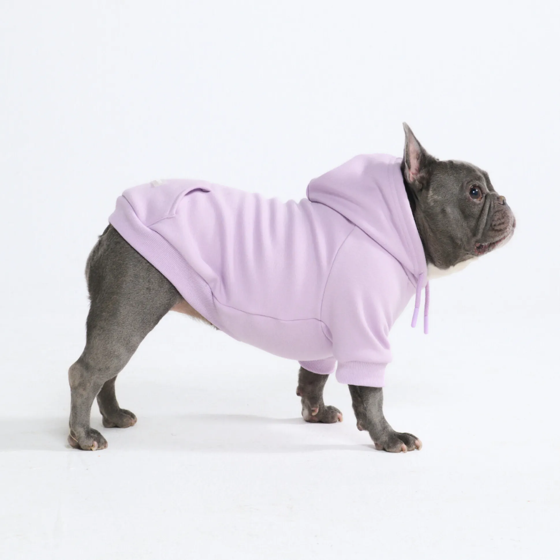 Essential Dog Hoodie - Lavender