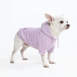 Essential Dog Hoodie - Lavender