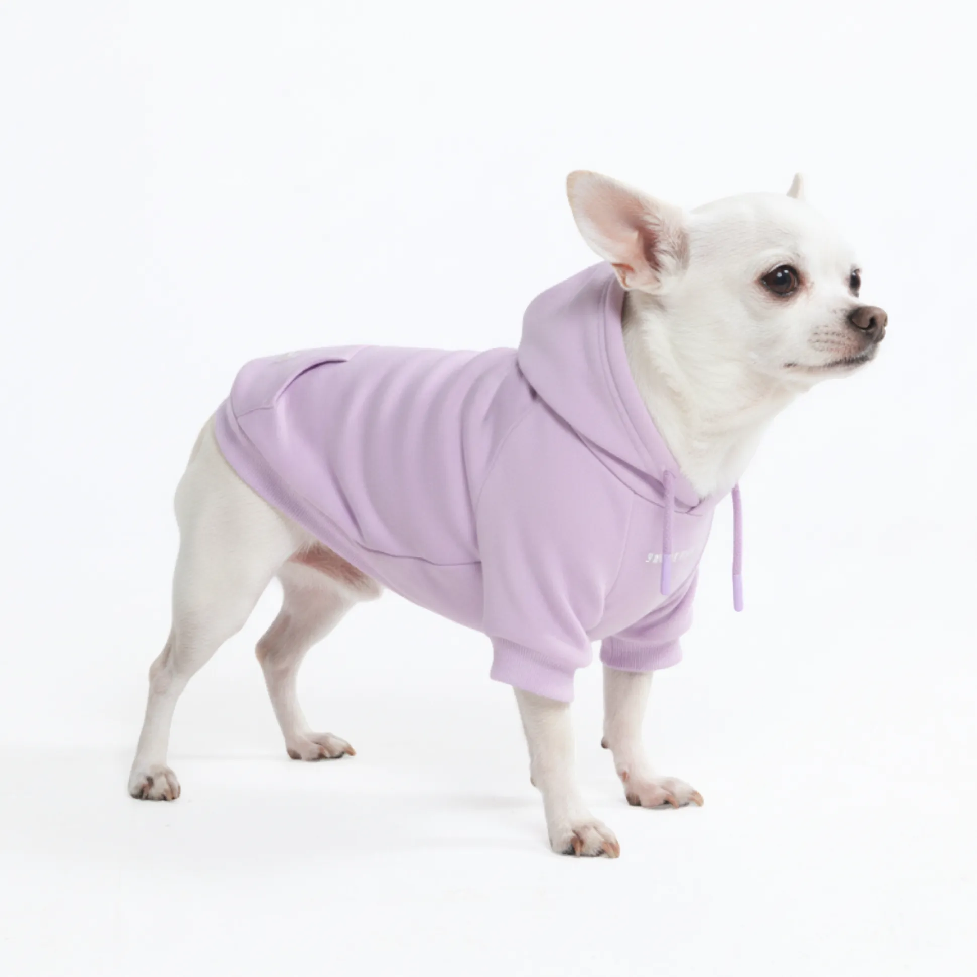Essential Dog Hoodie - Lavender