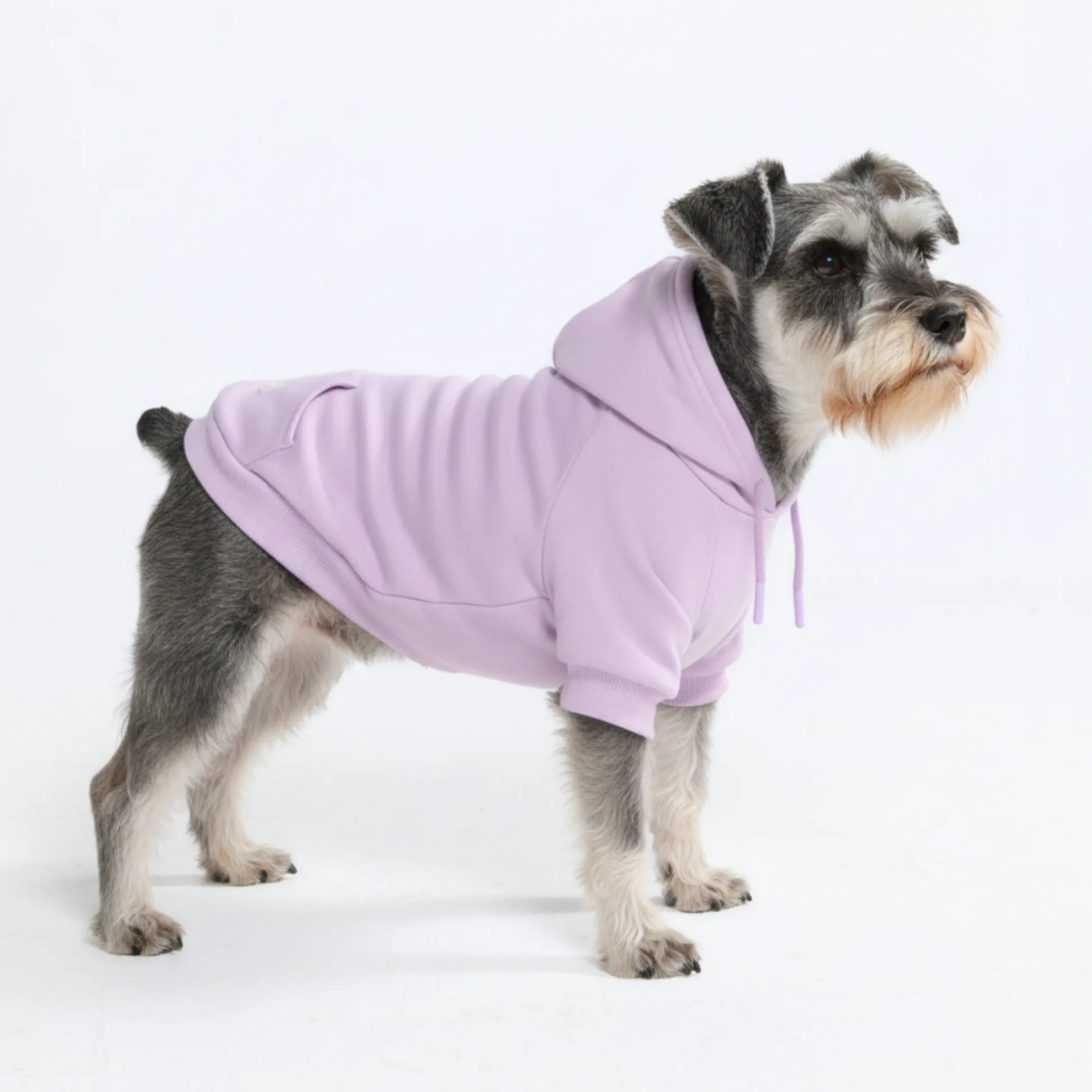 Essential Dog Hoodie - Lavender