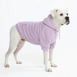 Essential Dog Hoodie - Lavender