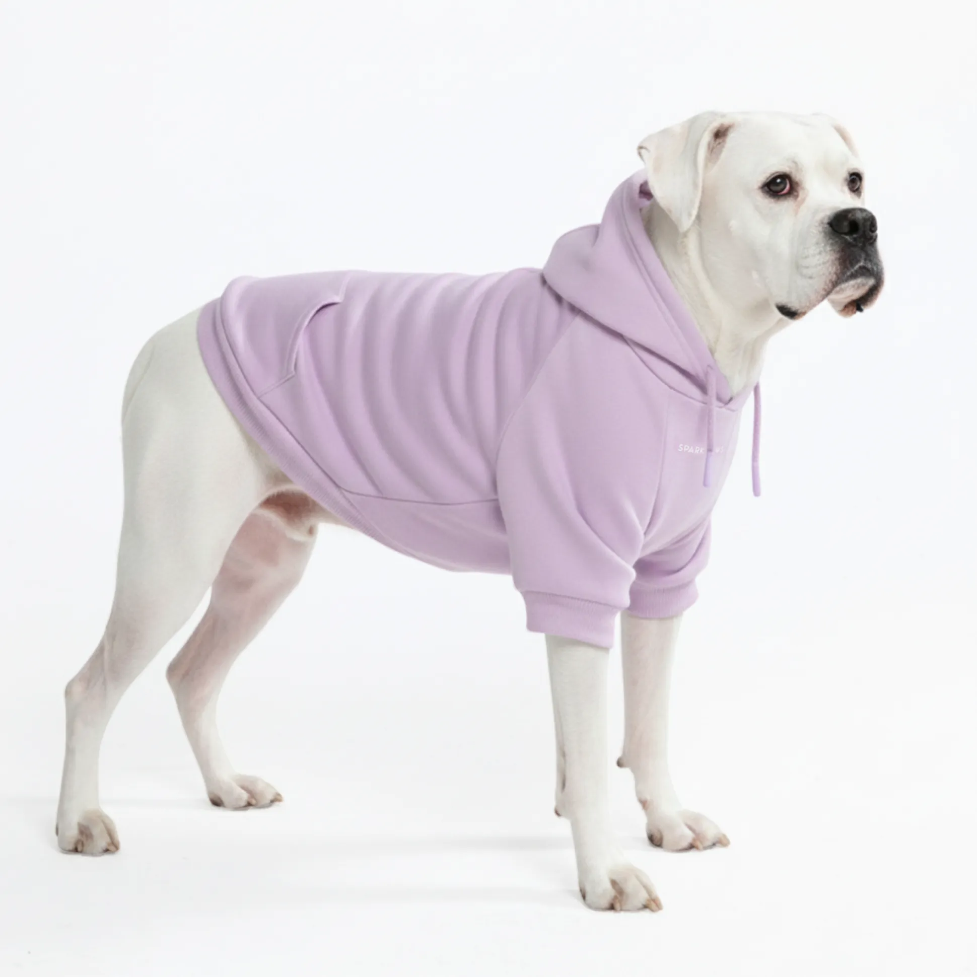 Essential Dog Hoodie - Lavender