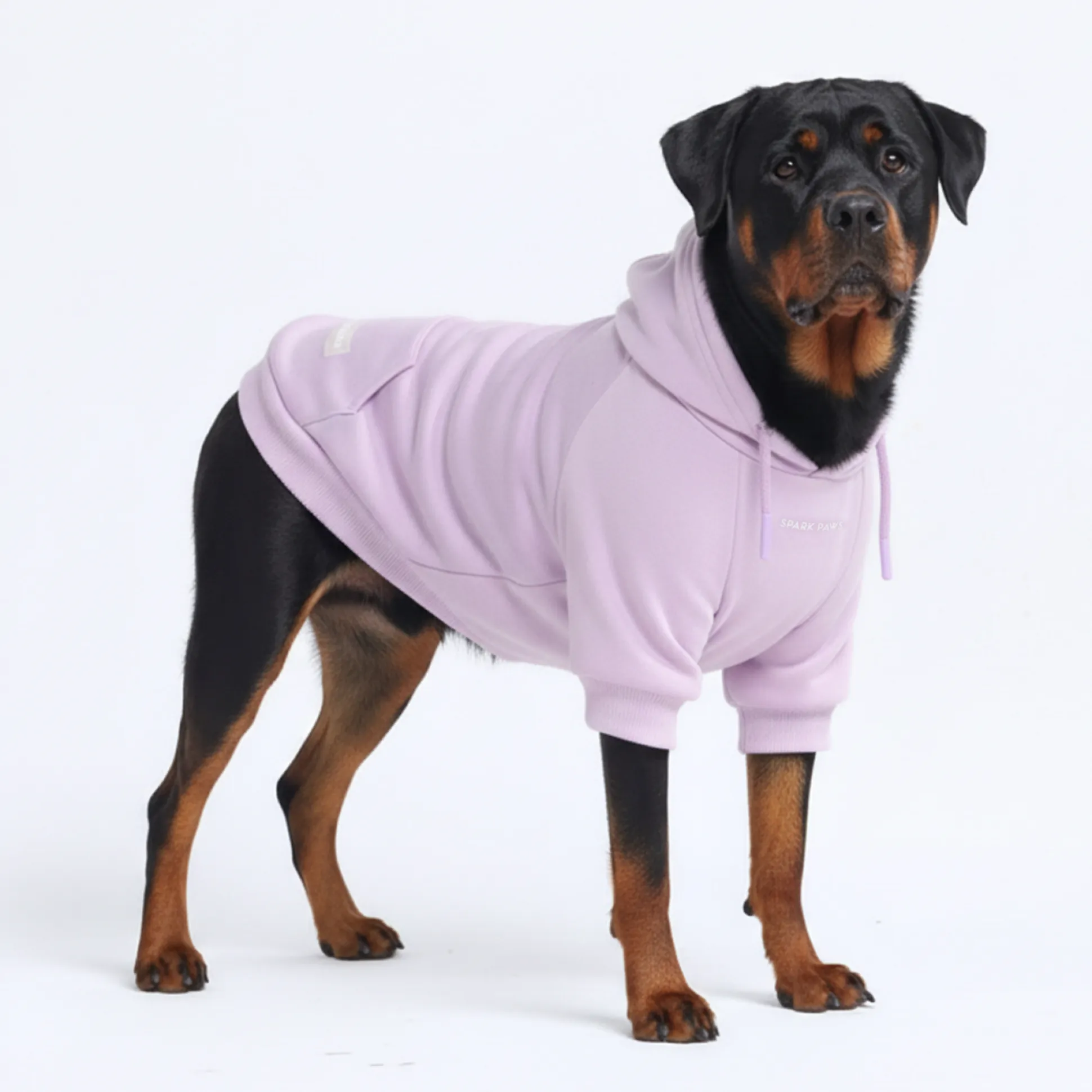Essential Dog Hoodie - Lavender