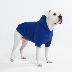 Essential Dog Hoodie - Midnight Blue