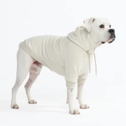 Essential Dog Hoodie - Oatmeal Heather