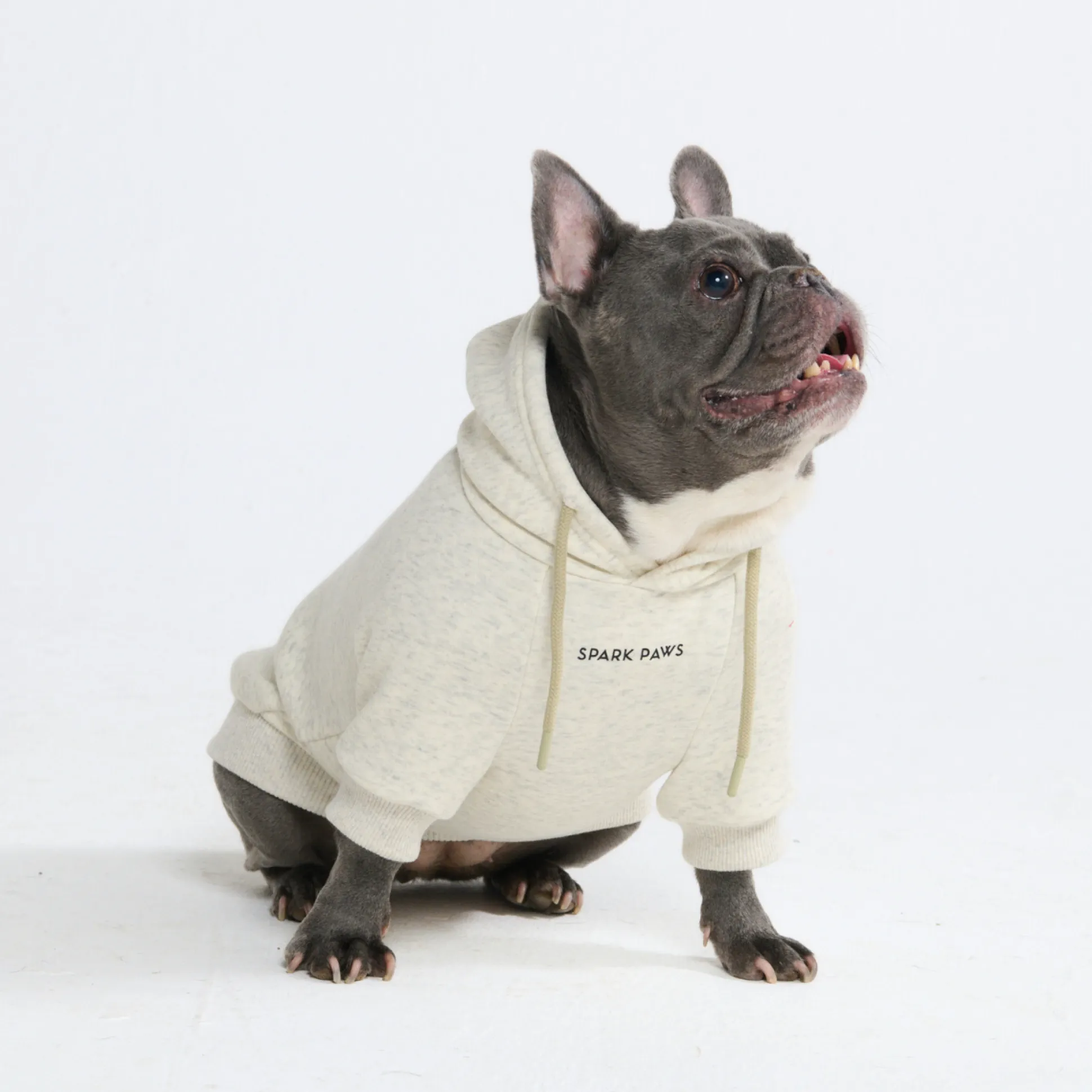 Essential Dog Hoodie - Oatmeal Heather