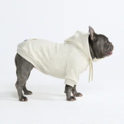 Essential Dog Hoodie - Oatmeal Heather