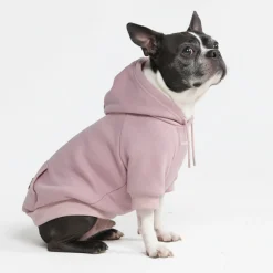 Essential Dog Hoodie - Purple Taupe