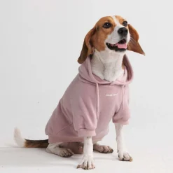 Essential Dog Hoodie - Purple Taupe