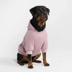 Essential Dog Hoodie - Purple Taupe