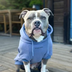 Essential Dog Hoodie - Slate Blue