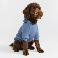 Essential Dog Hoodie - Slate Blue