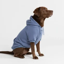 Essential Dog Hoodie - Slate Blue