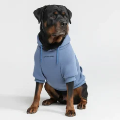Essential Dog Hoodie - Slate Blue